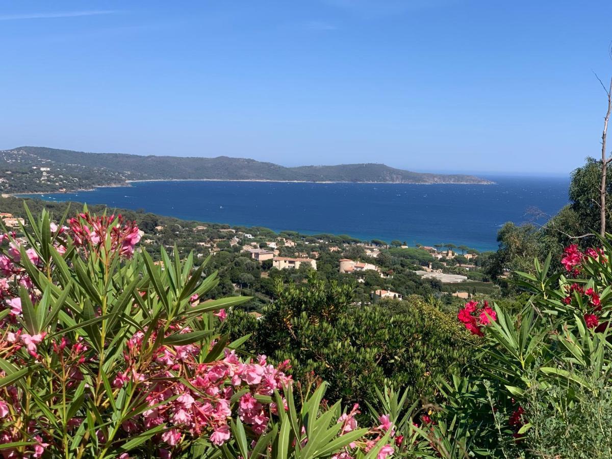 Villa Cacharelle Vue Mer Piscine Cavalaire-sur-Mer Bagian luar foto